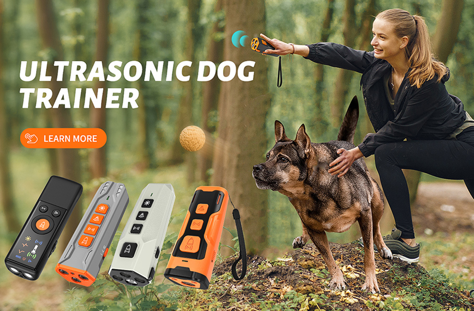ultrasonic dog training device works